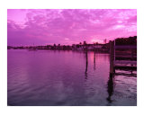 Lavendar Bay
