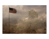 tatterd flag