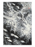 Under the Sea