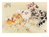 Cute Dogs
