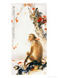Noble Monkey