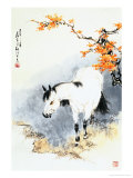 White Horse in Fall