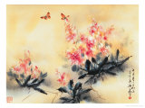 Butterflies in Spring