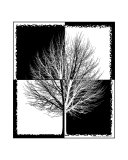 Tree of Life