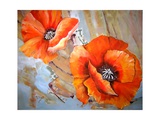 Floating Poppies Two