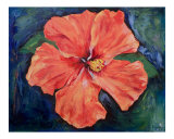 Orange Hibiscus