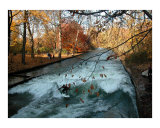 Surfing In The English Garden In Munich