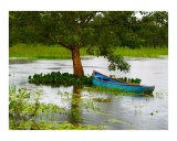 Boat at Rest
