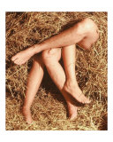 legs in the hay