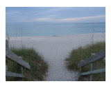 Stairway To Beach