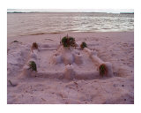 Pink Castle
