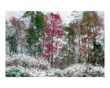 Early snow