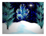 Winter Nights