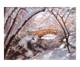 After The Snowfall In Central Park  New York
