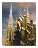 ST PATRICKS CATHEDRAL