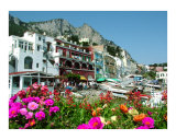 Capri's Marina with Flowers