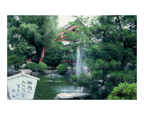 japenese garden