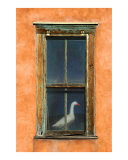 Goose in Window