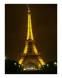 The Eiffel Tower  Paris  France
