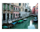 The City Life in Venice