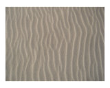 Sandwaves