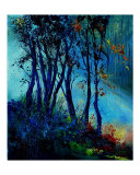 Misty light in a wood