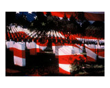 usflag in cemetary