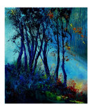Misty light in a wood