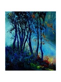 Misty light in a wood