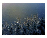 Snow Magic