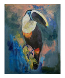 Rainforest Toucan