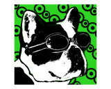 Green Boston Mod Pop art