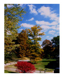 The colors of creation