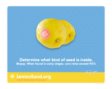 Determine what kind of seed is inside