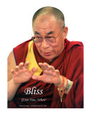 Dalai Lama - Bliss