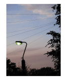 Electricity vs Beauty