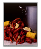 Crawfish (Small Border)