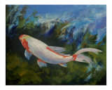 Zen Koi Fish