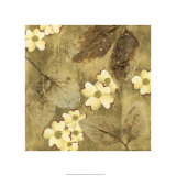 Sun-kissed Dogwoods II