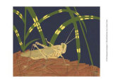 Ornamental Grasshopper I
