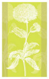 Efflorescence I