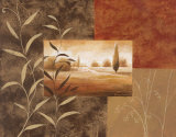 Warm Surroundings I