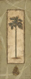 Palm Serenity II