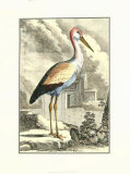 Antique Heron