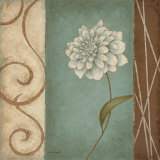 The Softer Side II