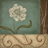 The Softer Side I