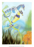 Seahorse Serenade III