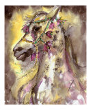 Arabian Stallion &  Head Dress