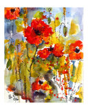 Poppies & Blue Sky