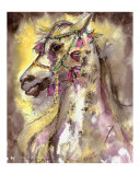 Arabian Stallion &  Head Dress